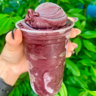Copo açaí 500ml puro